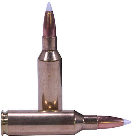 Nosler Trophy 7mm Short Action Ultra Mag 160 Grain Accubond Per 20 ...