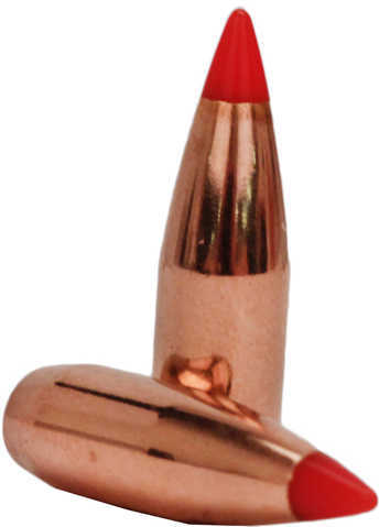 Hornady Rifle Bullet 204 Cal 40 Grain V-Max-img-1