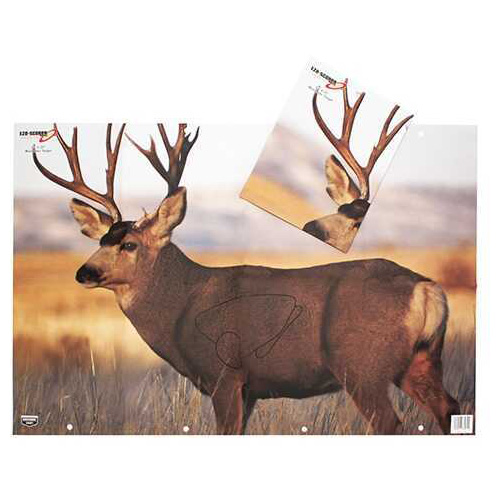 Birchwood Casey 37482 EZE-Scorer Mule Deer Paper 23" X 35"