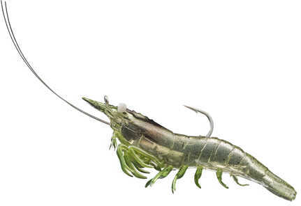 LT RIGGED SHRIMP 3" GRASS