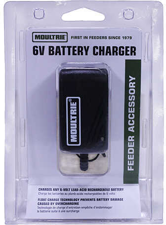 MOUL 6V BATTERY CHARGER