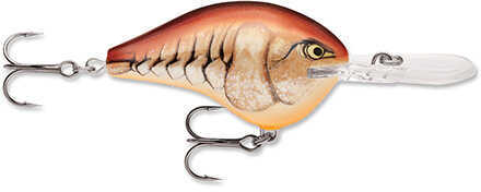 Rapala Dt Crankbait 2.25" 3/5Oz Mule 10' Depth Model: DT10MULE