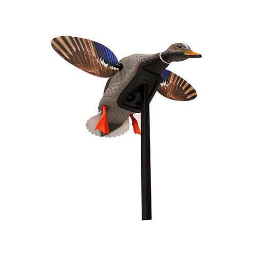 Mojo Elite Series Decoy Mini Mallard Drake Model: HW2470