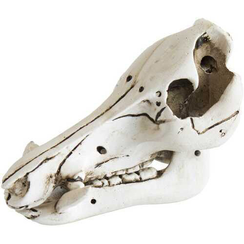 Mountain Mike's Mini Wild Boar Skull Mirror/ornament Hanger