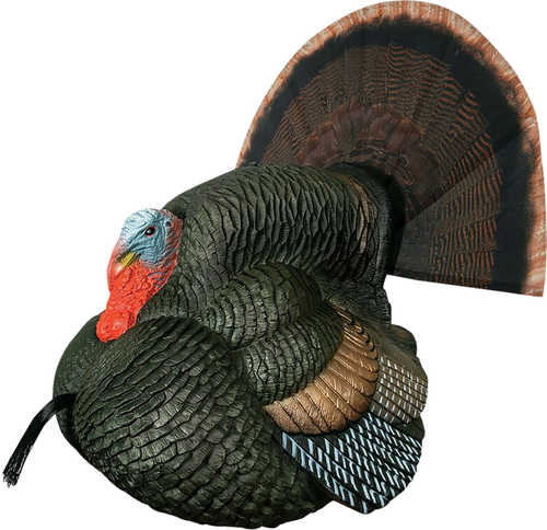 Primos 69076 Lil Gobblestopper Strutter Box Call Turkey Sounds