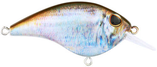 Frittside Jr Crankbait 2in 1/4oz Hd Model: Bhbfs5jr-hdbbh