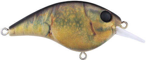 Frittside Jr Crankbait 2in 1/4oz Hd Model: Bhbfs5jr-hdgrc