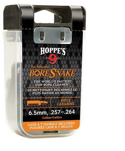 Rifle Boresnake With Den