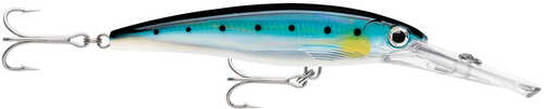 Rapala X-Rap® Magnum® 20 Sardine