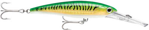 Rapala X-rap® Magnum® 20 Gold Green Mackerel