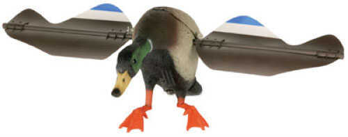 Edge Super Lucky Drake Combo Pack Includes Gear Bag & Remote Kit Decoy: Realistic Color Scheme & Landing Position, Heavy