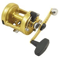 Penn International 975CSLD Baitcast Reel