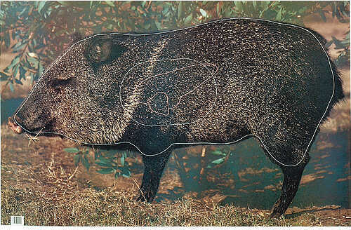 Martin Paper Targets Javelina