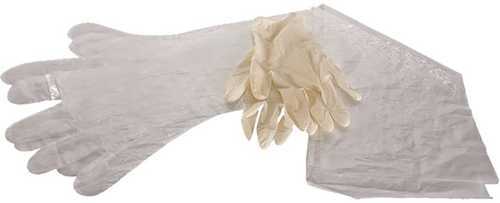 Allen Field Dressing Gloves 12 pk. Model: 516