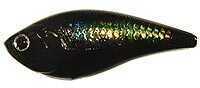 Lucky Craft Kelly J Jr 1/4Oz 2-3/8In MS Black Md#: KJJr-247MSBK