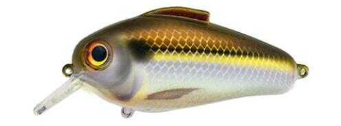 Bill Lewis Echo 1.75 Crankbait 5/8 Gizzard Shad