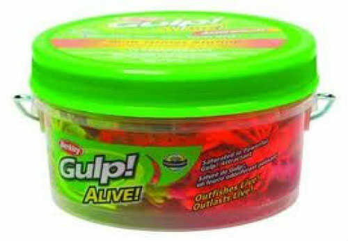 Berkley Gulp Alive Ghost Shrmp Pint 3In Assorted Colors GAPGSHR3-AST1