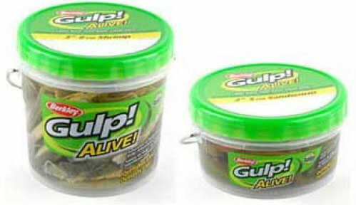 Berkley Gulp Alive Shrimp - Pint 3In Pearl White/Chartreuse Md#: GAPSHR3-PWC