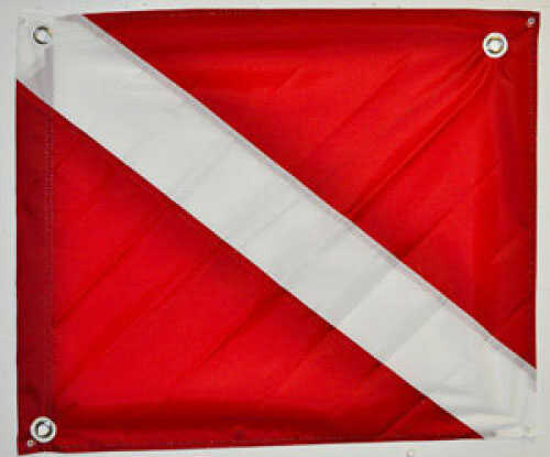 Lee Fisher Dive Flag 20In X 24In Vinyl