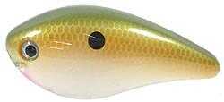 Strike King KVD Square Bill Crankbait - 2.5In 2-1/2In 3-6ft Tennessee Shad Md#: HCKVDS2.5-517