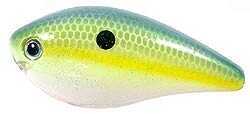 Strike King KVD Square Bill Crankbait - 2.5In 2-1/2In 3-6ft Chartreuse Sexy Shad Md#: HCKVDS2.5-538