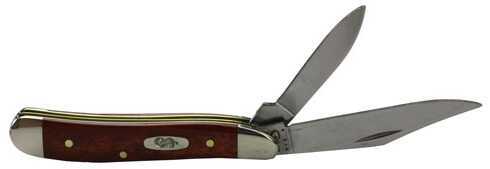 Case 6220 SS Smooth Chestnut Bine Peanut Knife