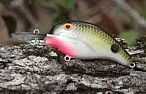 Bandit Crank Bait 100 2 In Watermelon Red Flake 2-5 ft Deep