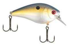 XCAL SQUARELIP 1/2 2" Foxy Shad