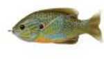 Lt Hollow Sunfish 3" Nat/BLU PMKNSD