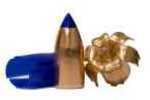 Barnes Muzzleloader Bullets 50 Cal. 290 gr. T-EZ FB 15 rd. Model: 30592