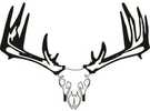 Raxx Whitetail Crossbow Holder