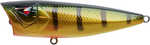 Top Water Popper 2 3/4in 3/8oz Perch Model: Tp70-26   Perch