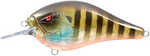 Squarebill Crankbait 2 1/2in Model: Ct5-7-02   Sungill