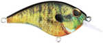 Frittside Jr Crankbait 2in 1/4oz Hd Model: Bhbfs5jr-hdblg