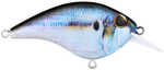 Frittside Jr Crankbait 2in 1/4oz Hd Model: Bhbfs5jr-hdtfs