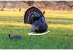 The Higdon Outdoors Tru-Strutter Motion Turkey Decoy is a real game changer. Jealous Tom Turkeys are drawn to this strutting motion decoy like a magnet. When you add realistic movement to a highly det...