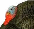 Primos Gobbstopper Strutter Turkey Decoy Box