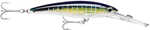 Rapala X-Rap® Magnum® 15 Sailfish UV