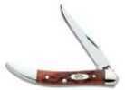 Case 3" Cv Tiny Toothpick Pocket Knife With Chestnut Bone Handle