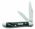 Case Peanut 2 Blade 2 7/8" Rough Black