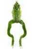 SAV 3D Il Frog 2.25" 1Pk Grn LEOPRD