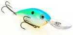 Sk 8XD CRANKBAIT 5.5" Citrus Shad