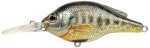 Koppers Bluegill 1/4Oz 2 1/4In 5ft-6ft Metallic Md#: BG57M-102