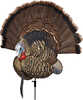 Turn your gobbler into a taxidermy-style showpiece with the Trophy Tom. The one-piece design easily holds a dried tail fan and beard surrounded by detailed carvings and ultra-realistic paint. It's a g...