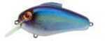 Bill Lewis Echo 1.75 Crankbait 5/8 Pro Blue