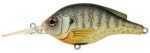 Koppers Bluegill 1/2Oz 2 3/4In 3ft-4ft Natural