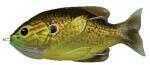 Koppers Hollow Body Sunfish 7/16Oz 3In Brnz Pumpkinseed Model: SFH75T556