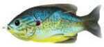 Lt Hollow Sunfish 3.5" BLU/YELPMKN