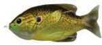 Lt Hollow Sunfish 3.5" Bronze PMKN