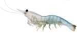 Koppers Shrimp Pre Rigged 1/2Oz 4In White